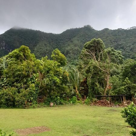 Ravehei Smile Relais 2 Moorea Afareaitu Exterior foto